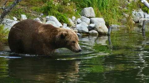 Katmai National Park
