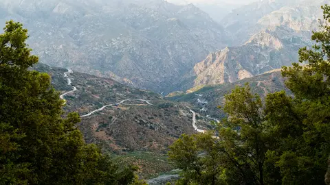 Kings Canyon National Park