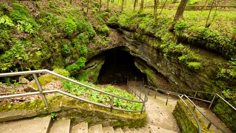 Mammoth Cave National Park
