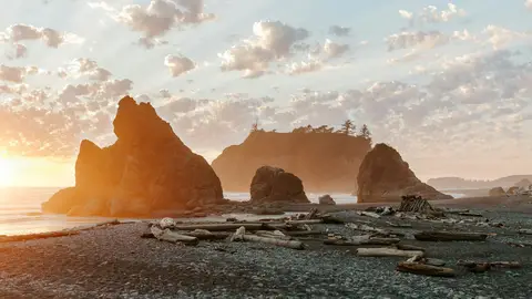 Olympic National Park