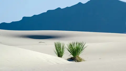 White Sands National Park