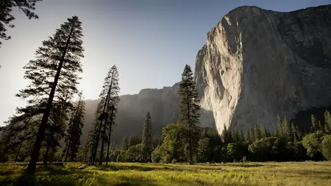 El Capitan rising above a meadow and pines in Yosemite Valley
