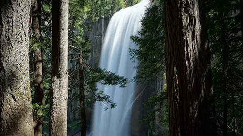 Vernal Fall framed by trees